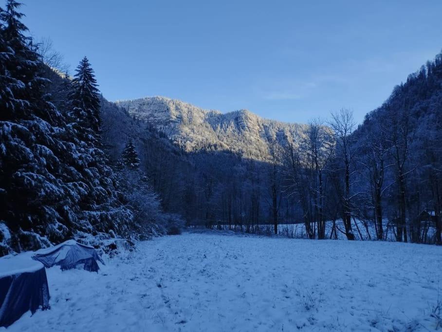 Chalet 8 Personnes + Grand Terrain Et Riviere Entremont Extérieur photo