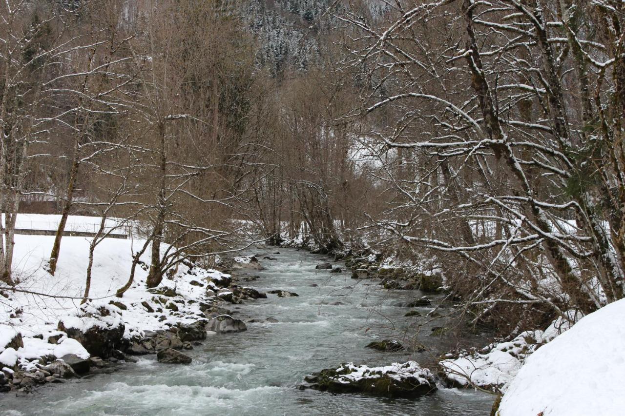 Chalet 8 Personnes + Grand Terrain Et Riviere Entremont Extérieur photo